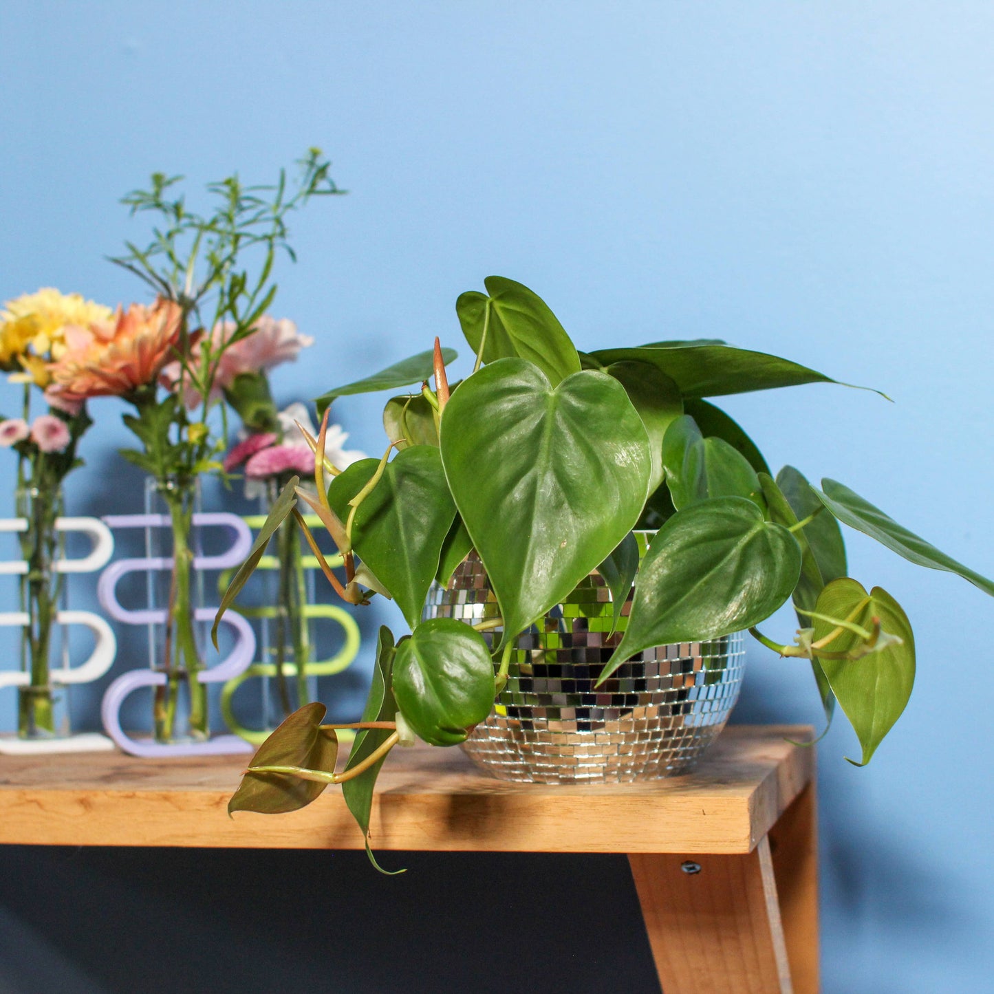 Disco Ball Planter (4")