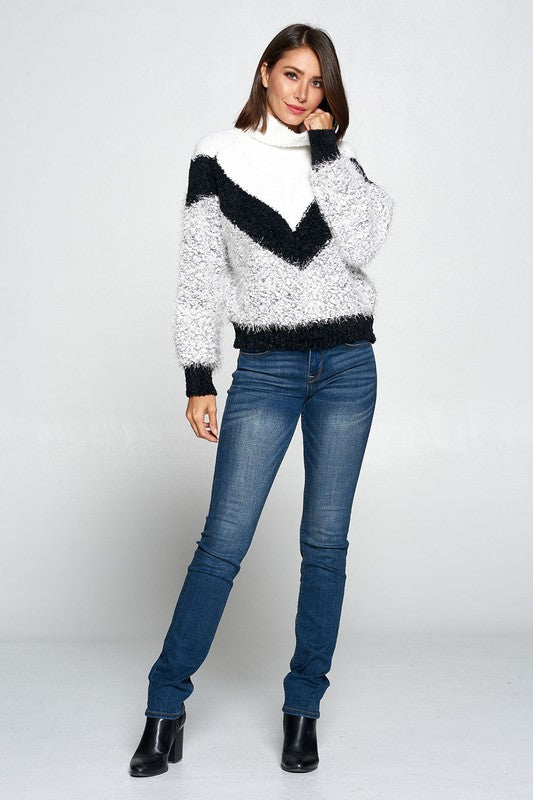 Colorblock Turtleneck Pullover