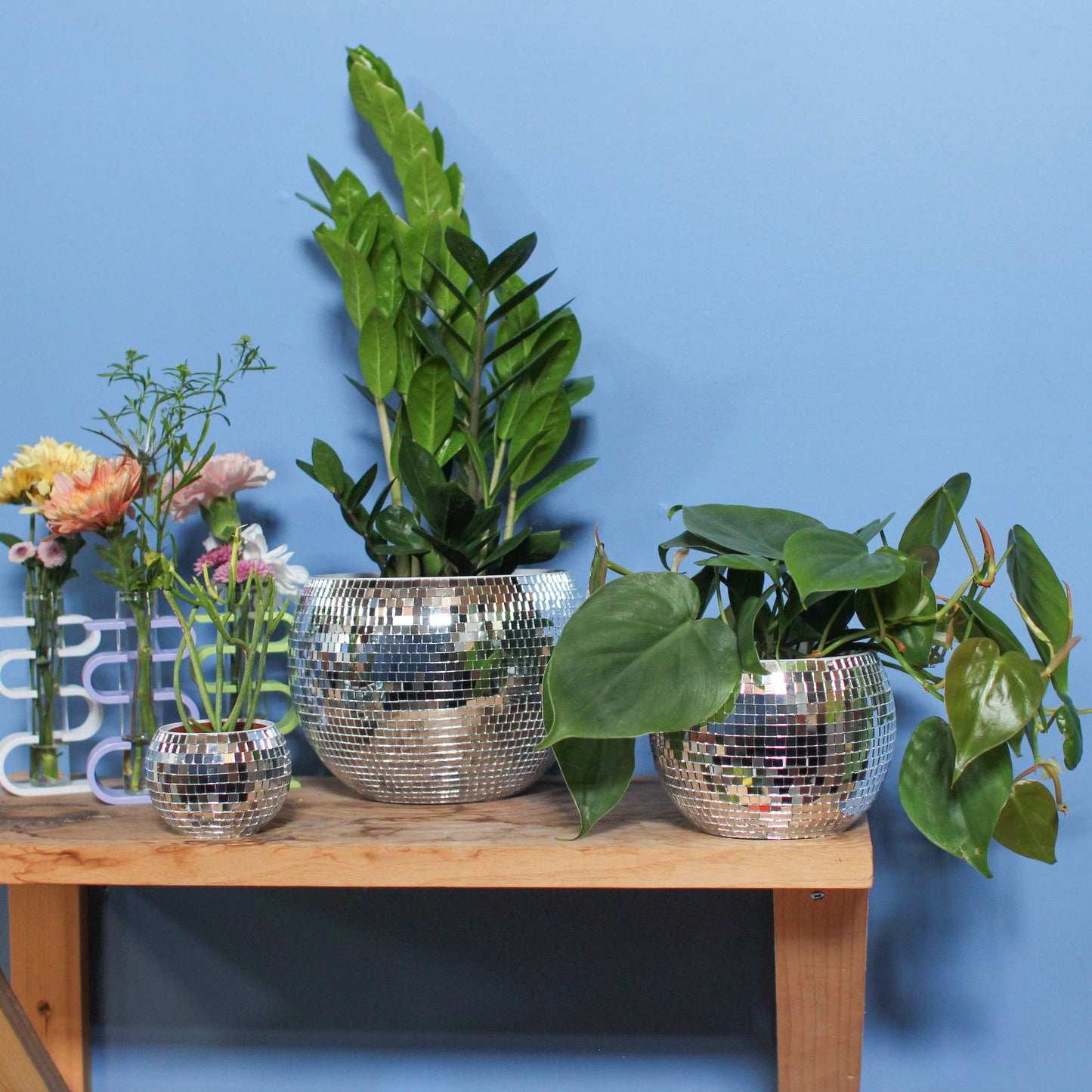 Disco Ball Planter (4")