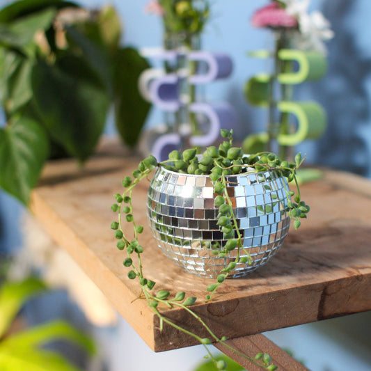 Disco Ball Planter (2")